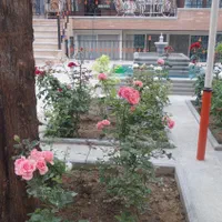 ملک ویلایی600متر/دارای6آپارتمان مستقل/تجاری مسکونی|فروش خانه و ویلا|اصفهان, نقش جهان|دیوار