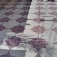 کاشی ساب، کاشی سابی، سنگ سابی، کف ساب،کف سابی|خدمات نظافت|شیراز, ارم|دیوار