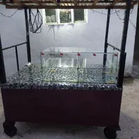 گاری کبابی