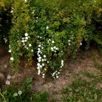 ادیت عکس حرفه‌ای