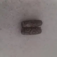 مهره برد