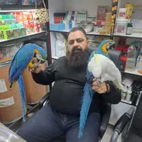انواع ملوکان.کاسکو.کاکادو.شاه طوطی.ارا