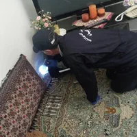 سمپاشی و کنترل افات بهداشتی ( سوسک ساس ...|خدمات نظافت|گرگان, |دیوار