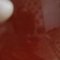 عسل طبیعی برداشت تازه|خوردنی و آشامیدنی|تهران, خلیج فارس|دیوار