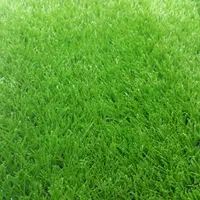 پخش کاغذدیواری-پوستر سه بعدی-کفپوش-پارکت-چمن|خدمات پیشه و مهارت|اهواز, کیانپارس |دیوار