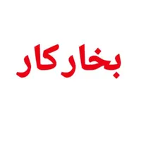 اتو کار و بخار وسط کار کار حرفه ای (خانم_آقا)