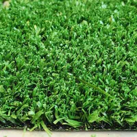 چمن مصنوعی|مصالح و تجهیزات ساختمان|دزفول, |دیوار