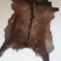 پوست بز کوهی