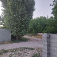 فروش باغ بین سیدان وفاروق .روستای اب انار|فروش خانه و ویلا|مرودشت, تخت جمشید|دیوار