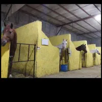 اسب سواری و باشگاه سوارکاری|اسب و تجهیزات اسب‌سواری|تبریز, |دیوار