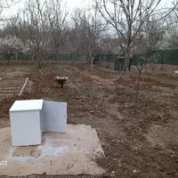 انجام کلیه امور باغبانی|خدمات باغبانی و درختکاری|بجنورد, |دیوار