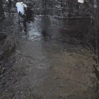 ایزوگام آسفالت در گیشا کن سعادت آباد شهران کاشانی|خدمات پیشه و مهارت|تهران, ستارخان|دیوار