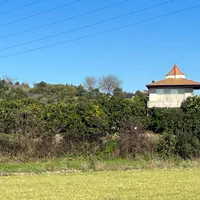 سوییت دربست با ویوی بی نظیر|اجارهٔ کوتاهمدت ویلا و باغ|شیرگاه, |دیوار