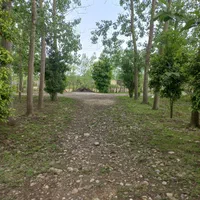 گاوداری بازمین مسکونی درصومعه‌سرا/تهاترباآپارتمان