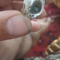 انگشترای نقره دست ساز کلکسیونی|جواهرات|تبریز, |دیوار