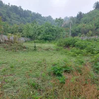 فروش زمین مسکونی سند دار در لیسار|فروش زمین و ملک کلنگی|تالش, هشتپر|دیوار