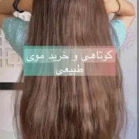 دفتر فروش مو اصلی و خرید بهترین قیمت