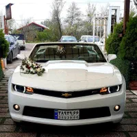 اجاره النترا برای مجالس و تشریفات|خدمات پذیرایی، مراسم|رشت, حسین آباد|دیوار