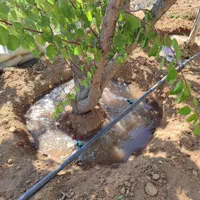 اجرا و طراحی آبیاری قطره ای درختان شما