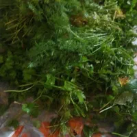 خدمات سبزی خورشتی آشی وپیاز وترش واش خدمت|خدمات پذیرایی، مراسم|رودبنه, |دیوار
