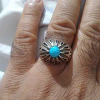 فیروزه پاک