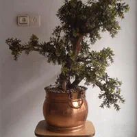 گلدان مسی و گل برگ مصنوعی