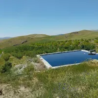 فروش باغ ۵ ساله تحت پمپاژ هولاسو|فروش زمین و ملک کلنگی|شاهین دژ, |دیوار