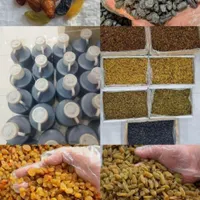 کشمش سایه خشک افتابی شیره انگور شیره خرما|خوردنی و آشامیدنی|تهران, شهرک شریعتی|دیوار