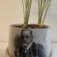 طراحی و خطاطی به صورت سفارشی روی گلدان بتنی|گل و گیاه طبیعی|تهران, ازگل|دیوار