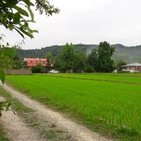 کد(100)ویلاباغ سه خوابه استخردار بدون واسطه ماسال|اجارهٔ کوتاهمدت ویلا و باغ|ماسال, |دیوار