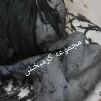 مولد ایام سمانی اندونزی یک خروس چهار مرغ وتخم نطفه|حیوانات مزرعه|شیراز, حافظیه|دیوار