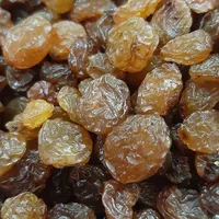 انواع آلو، قیسی، برگه، کشمش، گردو و مویز قیمت عمده|خوردنی و آشامیدنی|کرج, شهرک فهمیده|دیوار