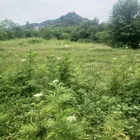 زمین مناسب چوپان ودامداران وکشاورزی