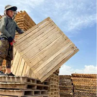 ‌پالت چوبی|عمده‌فروشی|تهران, دولتخواه جنوبی|دیوار