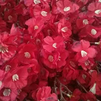 درختچه مصنوعی و شکوفه های خارجی قابل شستشو|گل مصنوعی|تهران, هاشم‌آباد|دیوار