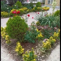 تمامی کار های باغبانی و سم پاشی مشهد و اطراف مشهد|خدمات باغبانی و درختکاری|مشهد, وکیل‌آباد|دیوار