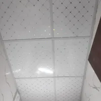 اجرای سقف کاذب شبکه ۶۰*۶۰ با تایل گچی و PVC|خدمات پیشه و مهارت|تهران, باغ خزانه|دیوار