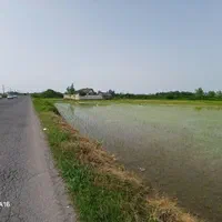 فروش زمین 11300متری سند تک برگی براصلی جاده‌شفت|فروش زمین و ملک کلنگی|رشت, چله خانه|دیوار