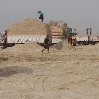 باگاس نیشکر کاه نیشکر جایگزین کاه گندم،. بصرفه|حیوانات مزرعه|اصفهان, آزادگان|دیوار