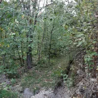 زمین سند دار در جاده چالوس|فروش زمین و ملک کلنگی|آسارا, |دیوار