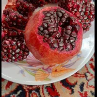 نهال انار دانه سیاه اصل|خدمات باغبانی و درختکاری|تهران, دریاچه شهدای خلیج فارس|دیوار