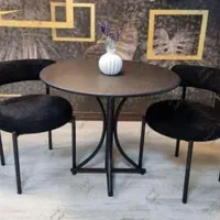 میز و صندلی ناهارخوری غذاخوری طرح تدی