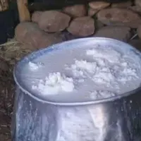 روغن گاو و گوسفند