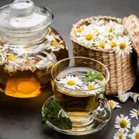 سلامت سرای آنلاین زندگی سبک تغذیه|خدمات پیشه و مهارت|مراغه, |دیوار