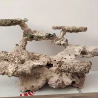 صخره آکواریوم آب شور