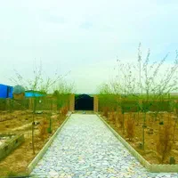 باغ درخت جنگلی شاهنامه دیاکوگوارشک سندتک برگ ملکی|فروش خانه و ویلا|مشهد, جاهد شهر|دیوار