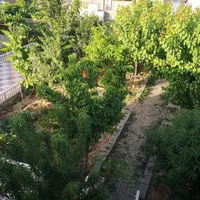 ویلا باغ ۳۱۰ متر ۱۵۰ متر بنا ۳ خواب خواب مستر|فروش خانه و ویلا|چهارباغ, |دیوار