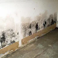 لوله کشی و نشتییابی ساختمان با دستگاه