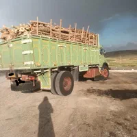 خرید چوب درختان