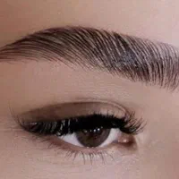 کلیه لاینهای آرایشگری آموزش مدرک فنی و بین المللی|خدمات آرایشگری و زیبایی|تهران, علم و صنعت|دیوار